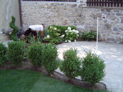 arbeiten pflanzungen