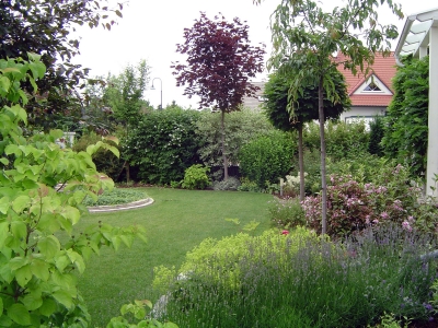 bepflanzung garten