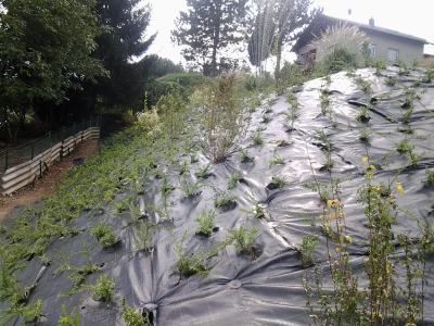 Bild mgg_Oeffentlich_Gewerbe_09