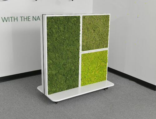 Beispiele für Mooswände