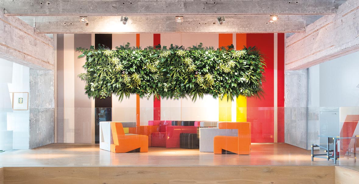 slider1_grueneWaende1 (1)