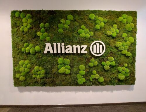 Allianz Moos-Logo