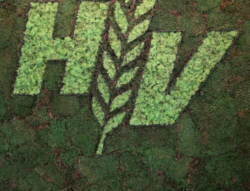 Österreichische Hagelversicherung